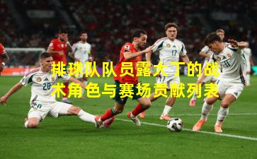 排球队队员露大丁的战术角色与赛场贡献列表