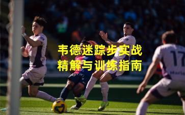 韦德迷踪步实战精解与训练指南