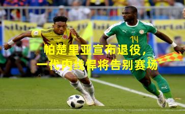 帕楚里亚宣布退役,一代内线悍将告别赛场