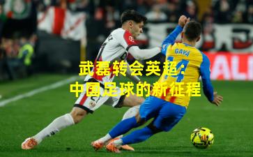 武磊转会英超:中国足球的新征程