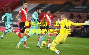 费内巴切：土耳其足球的骄傲与象征