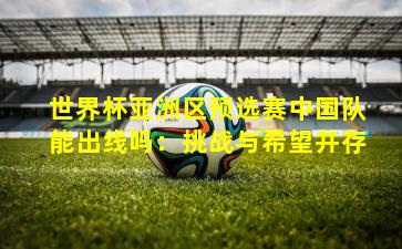 世界杯亚洲区预选赛中国队能出线吗:挑战与希望并存