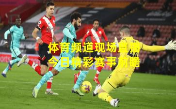 体育频道现场直播今日精彩赛事前瞻