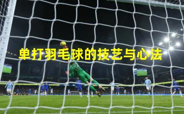  单打羽毛球的技艺与心法
