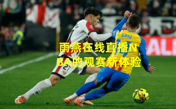 雨燕在线直播NBA的观赛新体验