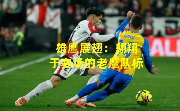 雄鹰展翅:翱翔于赛场的老鹰队标