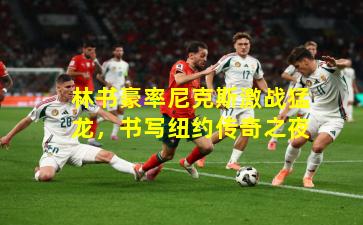 林书豪率尼克斯激战猛龙，书写纽约传奇之夜