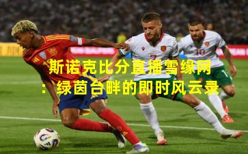 斯诺克比分直播雪缘网：绿茵台畔的即时风云录